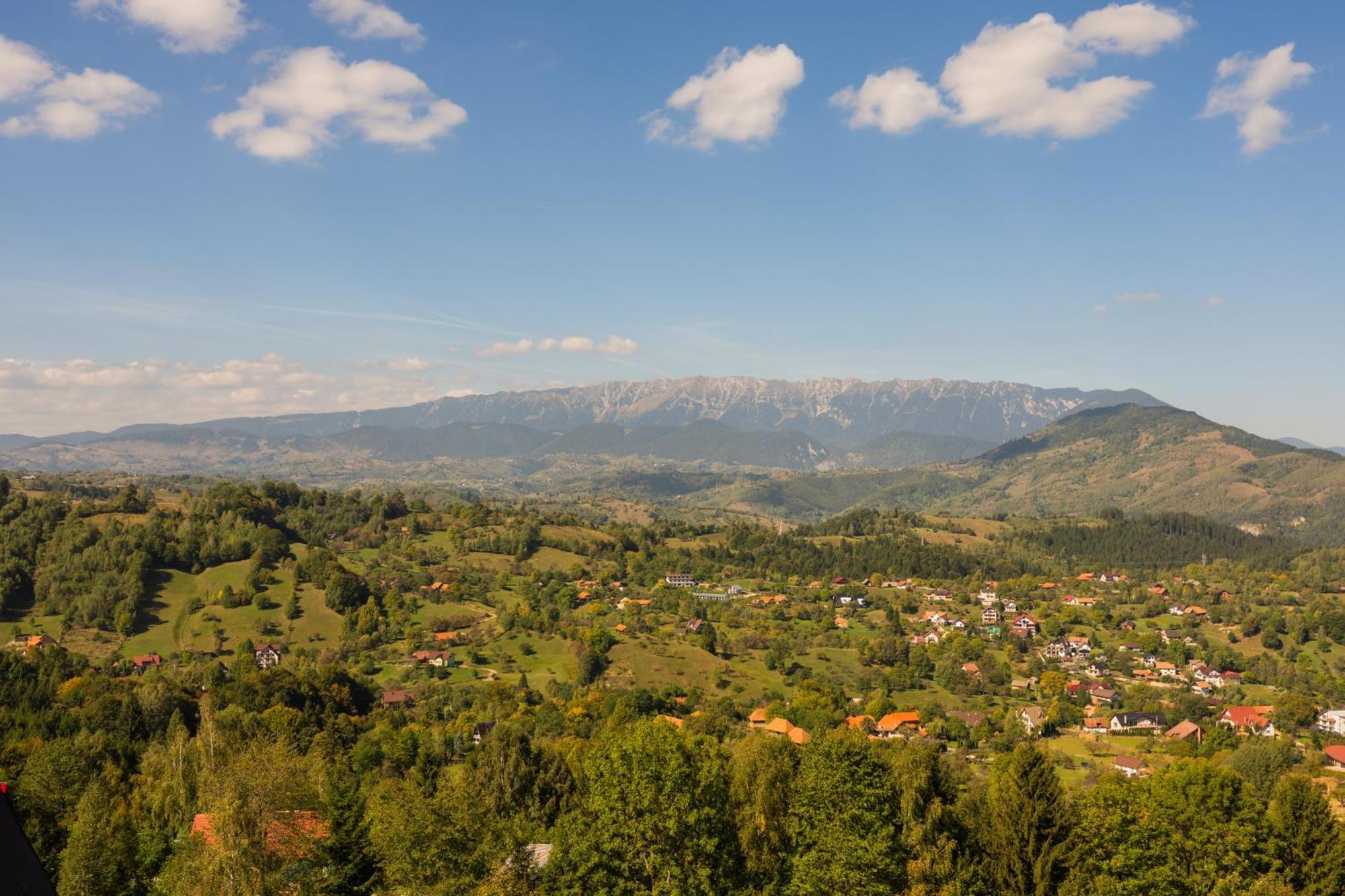 The Pines Bucegi Lodge Törcsvár Kültér fotó