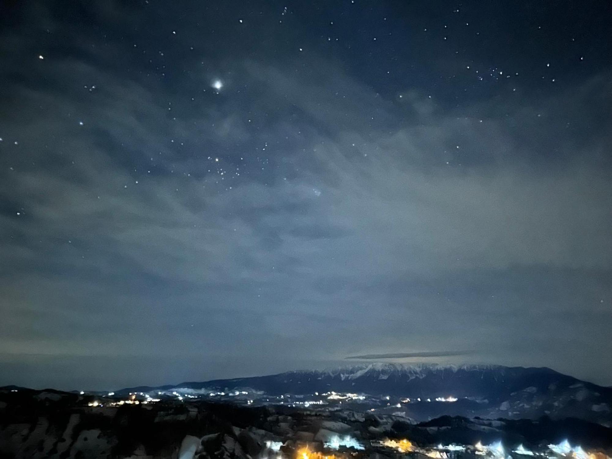 The Pines Bucegi Lodge Törcsvár Kültér fotó